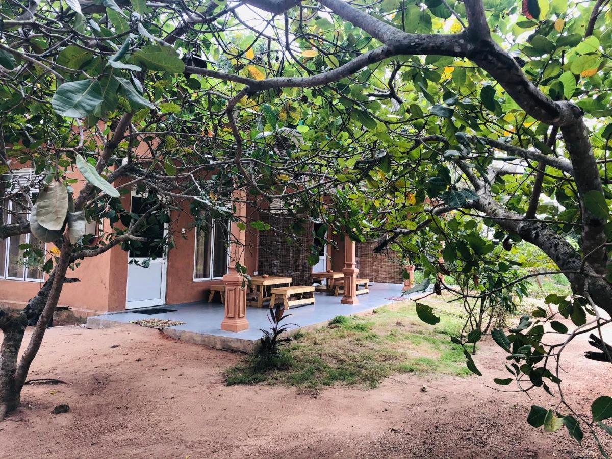 Wilpattu Wildhideaway Hotell Galkadawala Eksteriør bilde